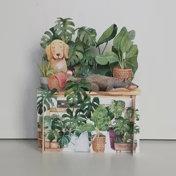POP UP CARD ASST