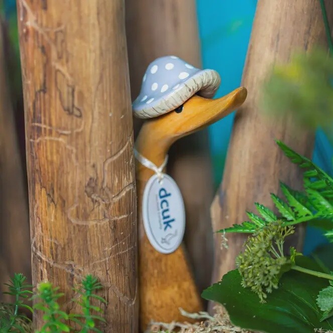 TOADSTOOL FOLK DUCKS