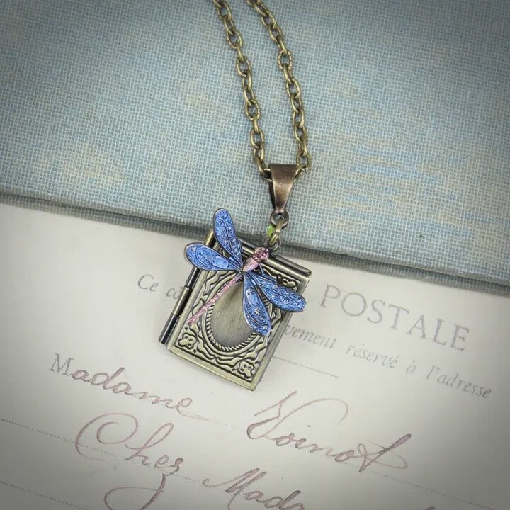BLUE DRAGONFLY BOOK LOCKET