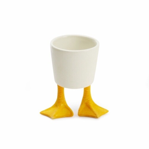 DUCK FEET PLANTER