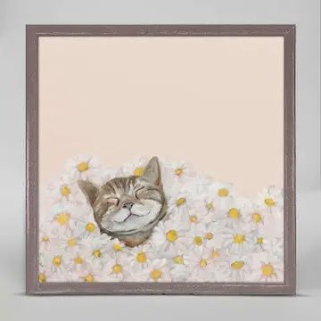 CAT IN DAISES