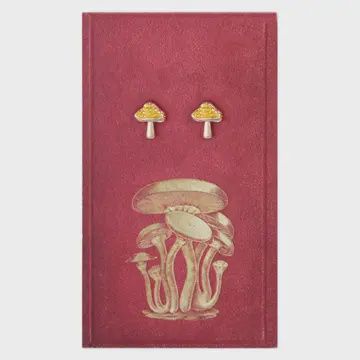 Book lover mushroom