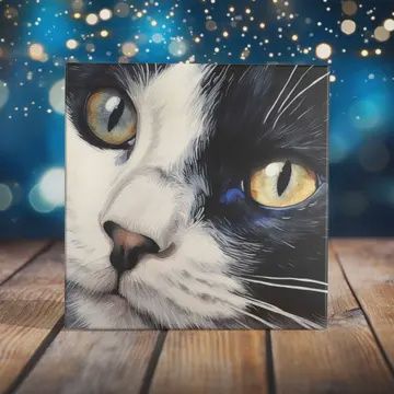 CAT FACE