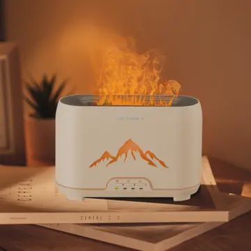 FLAME DIFFUSER