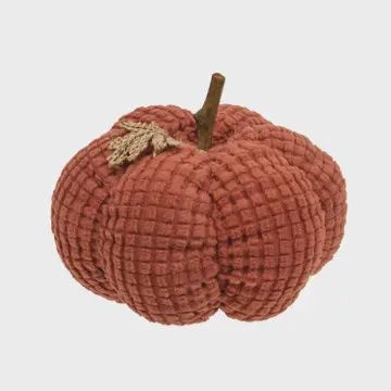 ORANGE WAFFLE PUMPKIN