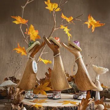 DCUK AUTUMN DUCKS