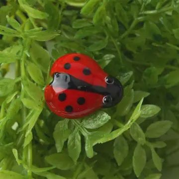glass ladybug