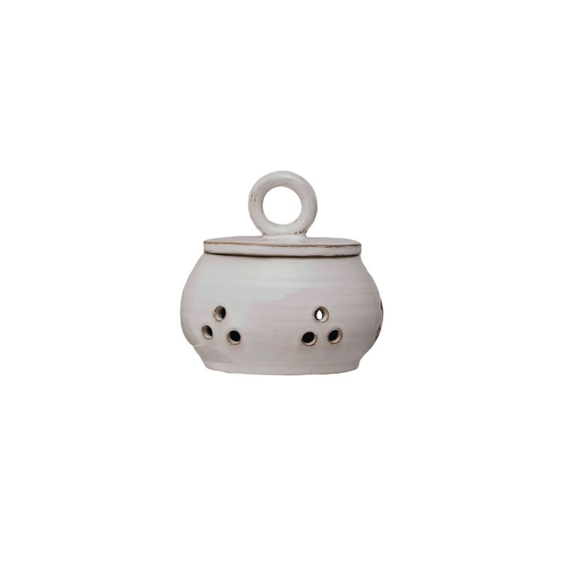 garlic saver