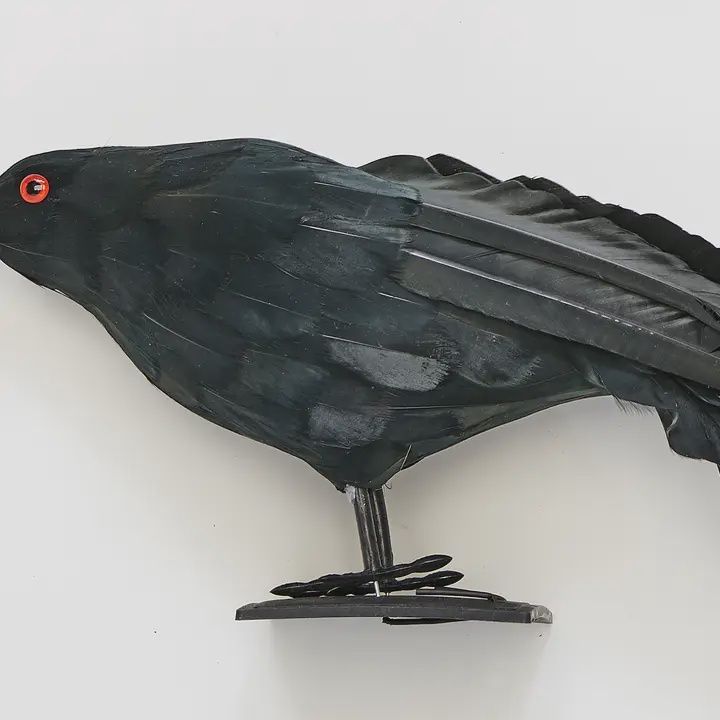 12 INCH TABLE TOP CROW