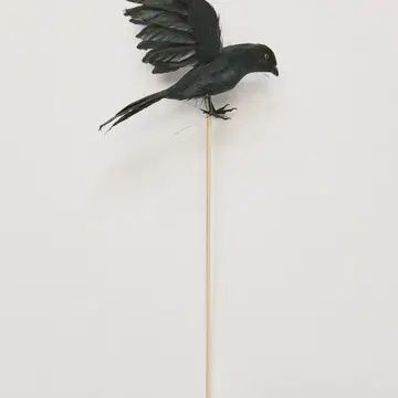 CROW IN 12INCH STICK