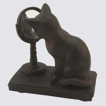 CAT WITH MIRROR