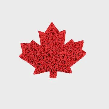 MAPLE LEAF RED