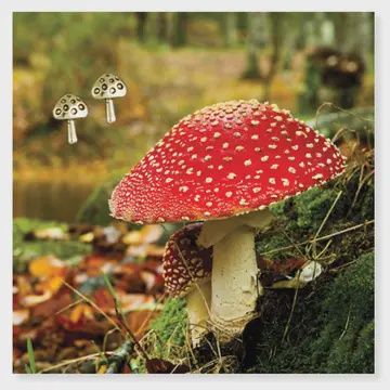 MUSHROOM STUDS