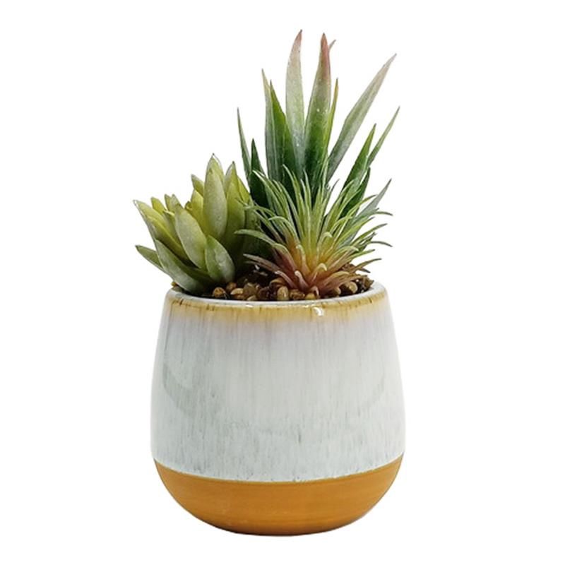 CERAMIC PLANTER W/ SUCCULENT