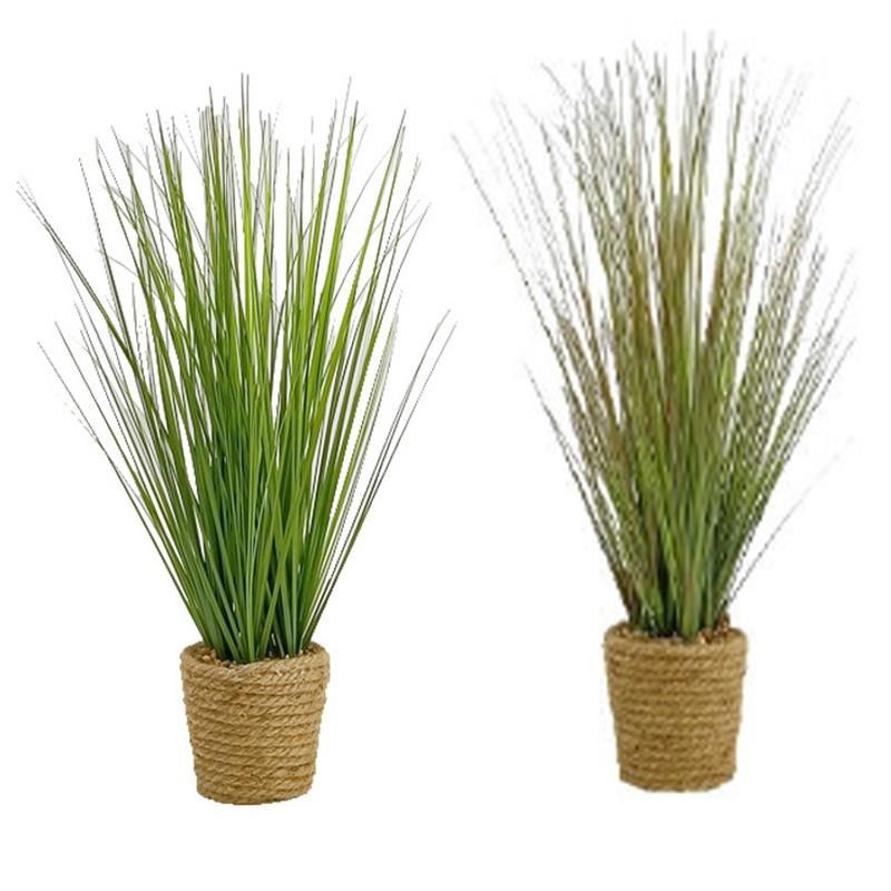 PLANT IN TWINE BASKET