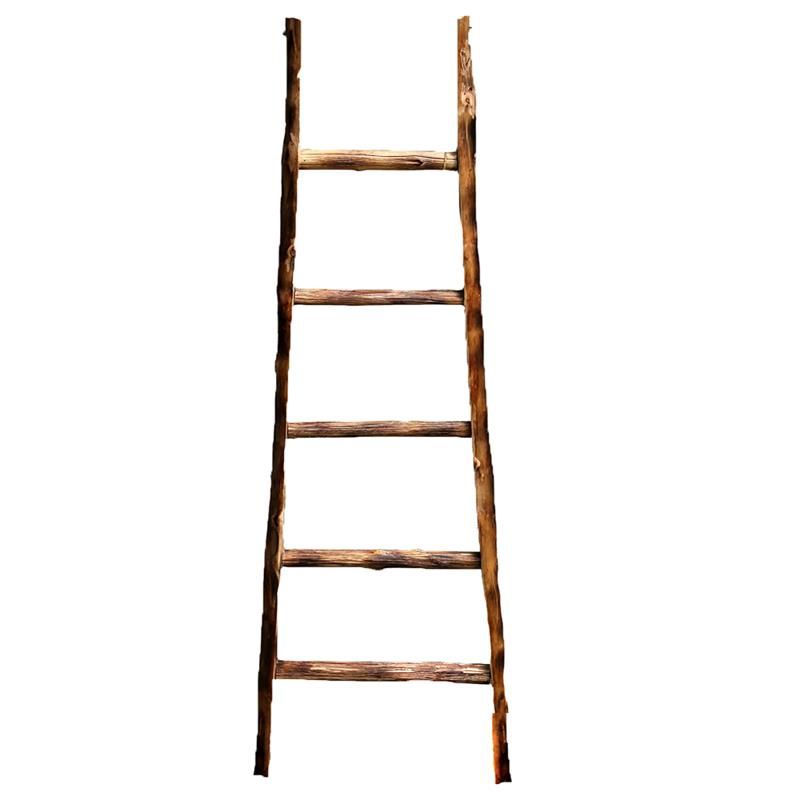 LADDER DECOR