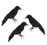 FEATHER CROWS