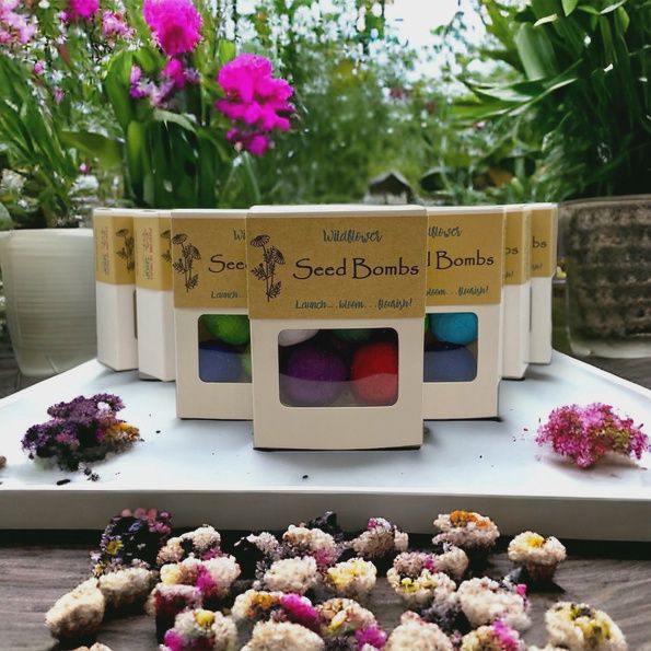 SEED BOMBS 6 PACK - CANADIAN WILD FLOWERS