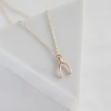 Wishbone necklace