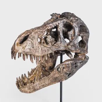 TREX SKULL TABLE ORNAMENT