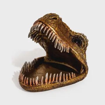TREX HEAD STORAGE DISH