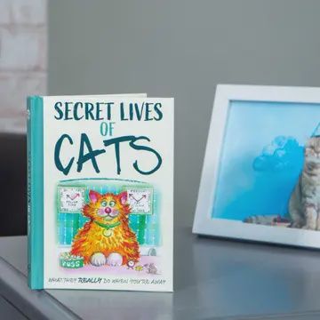 ASST FUNNY BOOKS