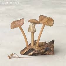 Wood Mushrooms In Driftwood Base