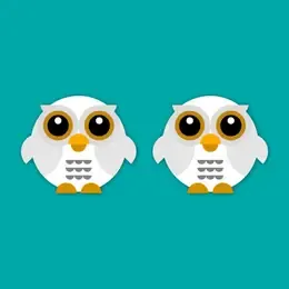 Barn Owl Wooden stud earrings