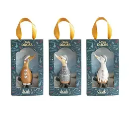DINKY DUCKS ALPINE