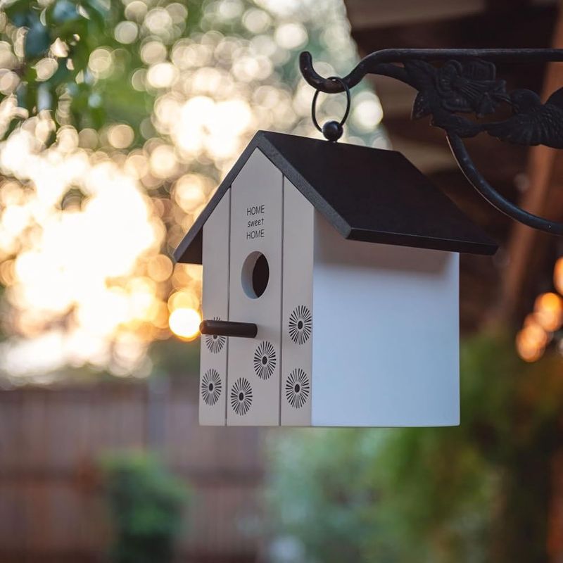 Black &amp; White Birdhouse