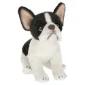 BLACK FRENCHIE DOG