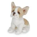 LITTLE FRENCHIE
