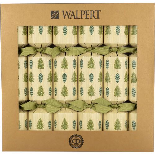 12in 6ct ECO Evergreen 6