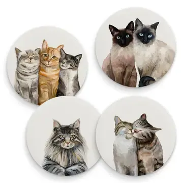 CAT COASTER ASST STONE