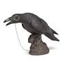 RAVEN WITH MONACLE