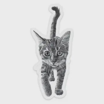 ANIMAL MAGNETS - ASST., ANIMALS: KITTEN