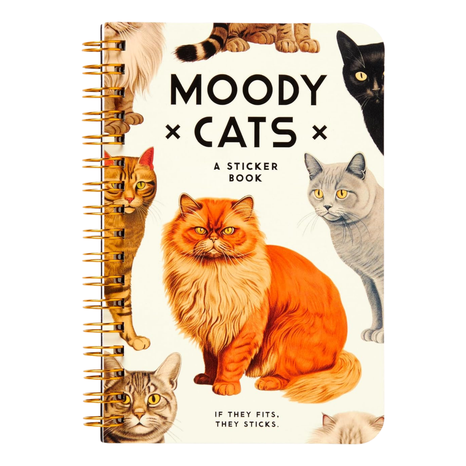 Moody Cats Sticker Book