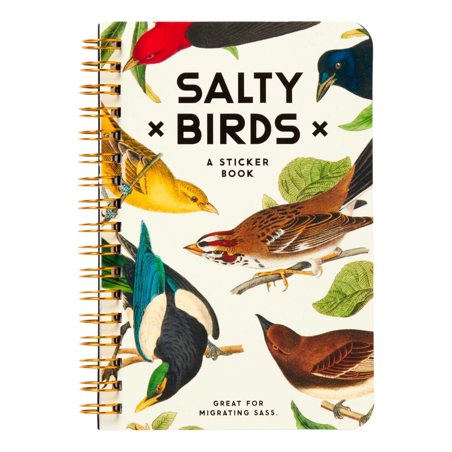 Salty Birds Sticker Book