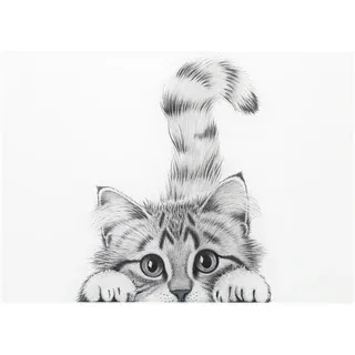 Animal Antics Glass Cutting Board Assorted