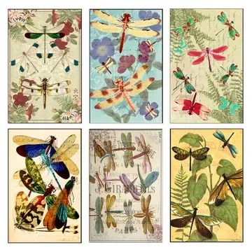 Vintage Dragonfly Matchboxes Assorted