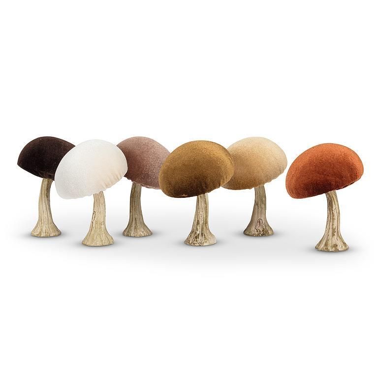 Velvet Mushroom Assorted