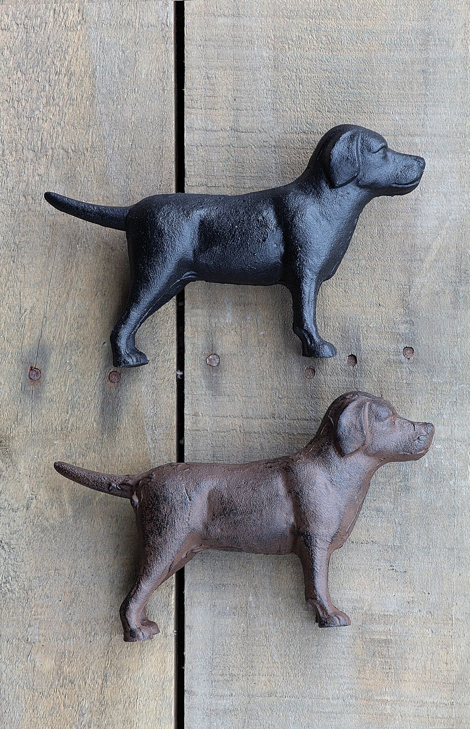 CAST IRON LAB 2 COLOURS 8"