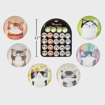 cat Magnet asst styles