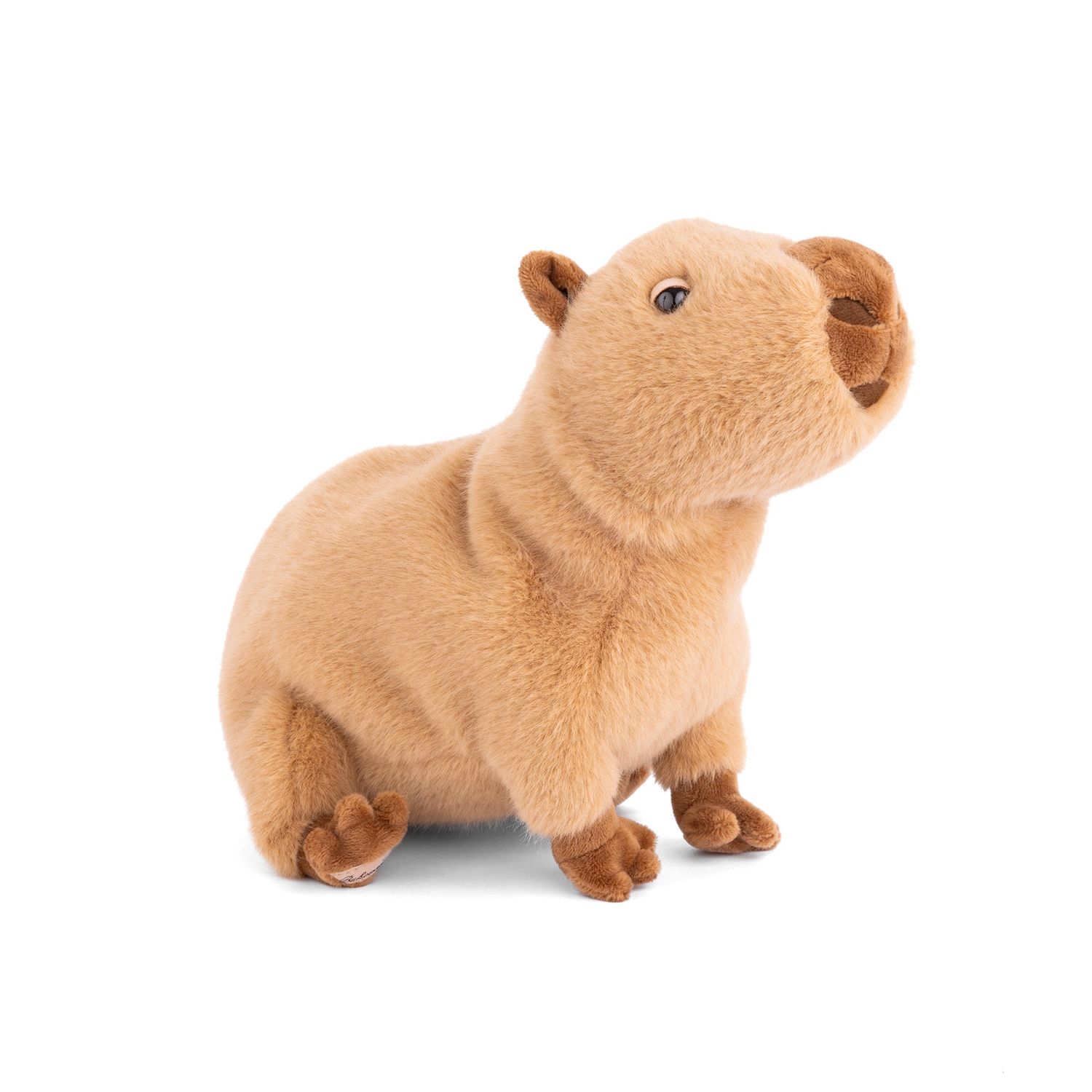 theo - capybara