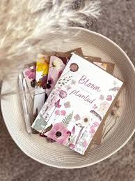 Seek &amp; Bloom Cards