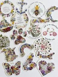 Seek &amp; Bloom Sticker