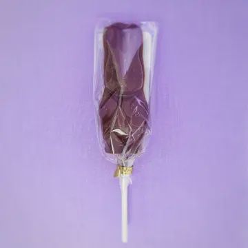 Mr Bunny Chocolate Lollipop