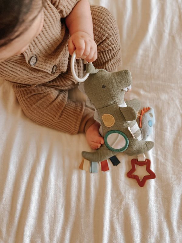 Bitzy Traveler Developmental Sensory Toy