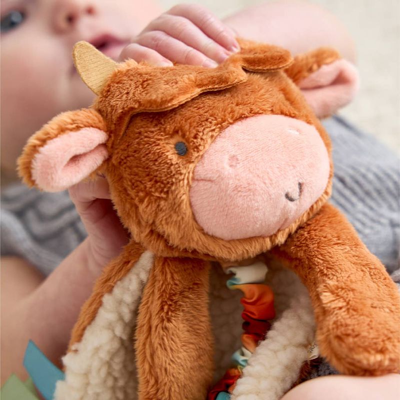 Itzy Lovey Plush and Teether Toy Assorted