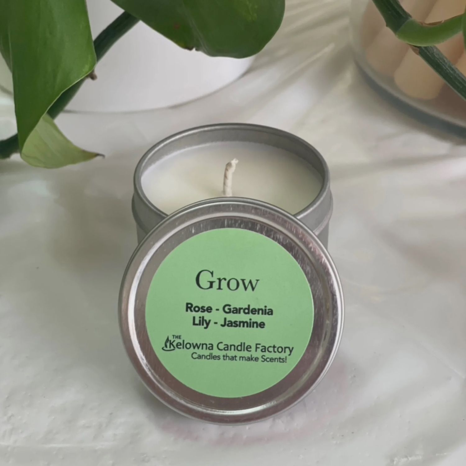 Beeswax 2oz candle tins, SCENT: grow